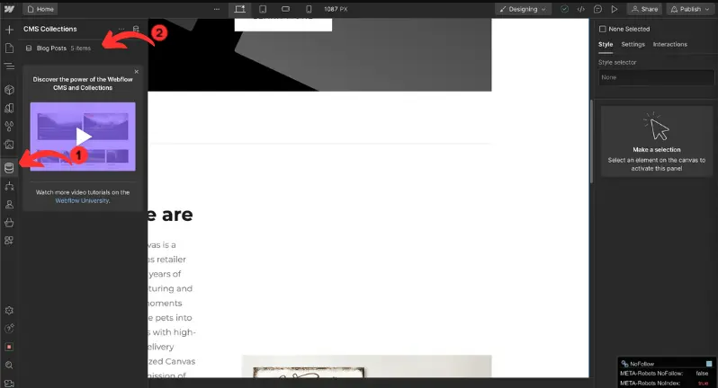 accesswebflowproject