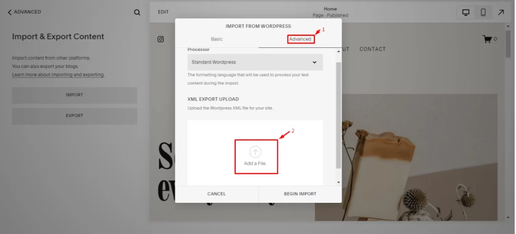 Choose WordPress and Advanced Import Option